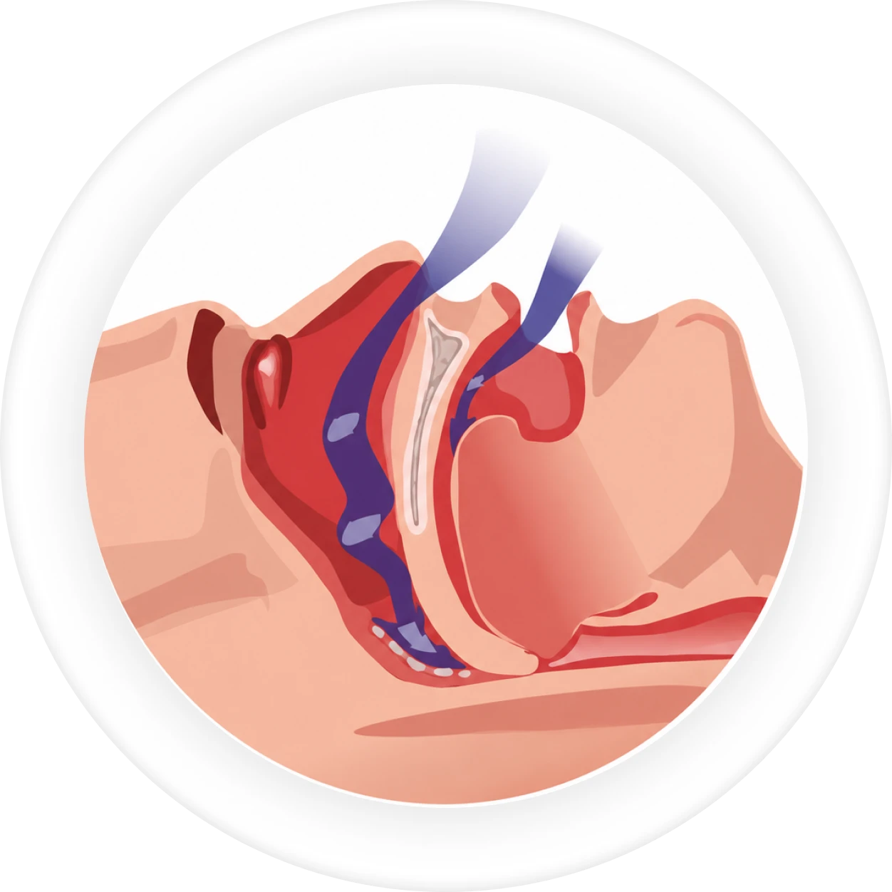 Sleep Apnea Central Layout